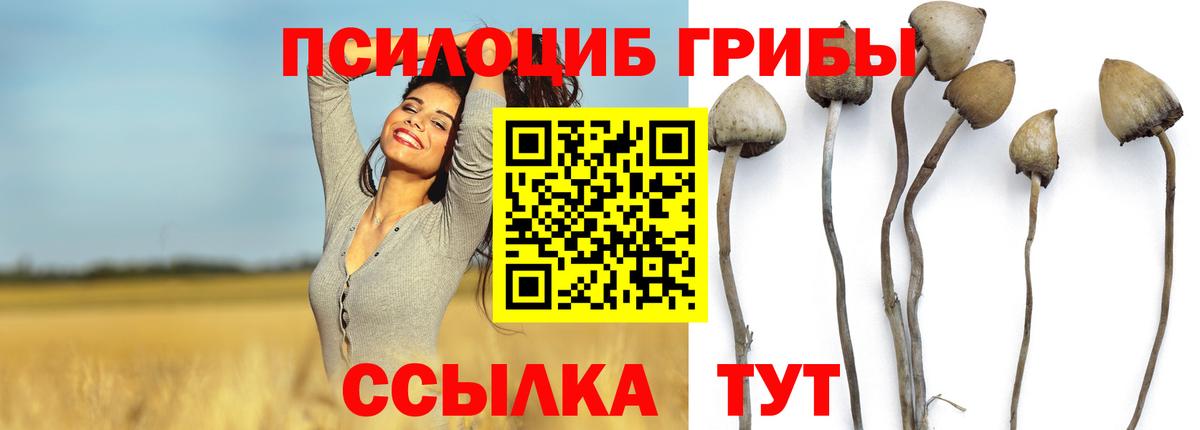 Галлюциногенные грибы ЛСД Спасск-Дальний